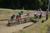 しめ縄田んぼの田植えワークショップ