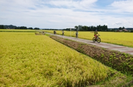 土曜サイクリング「手ぶらで芋煮会」